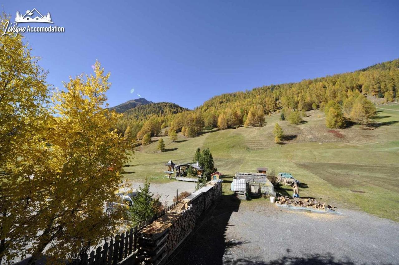 Casa Florin Giumel By Livigno Accomodation Exteriör bild